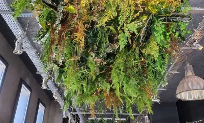 Plafond végétalisé, Lyon, MOSS SMART NATURE