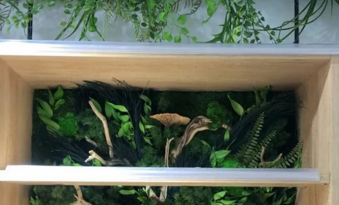 Plafond végétalisé, Lyon, MOSS SMART NATURE