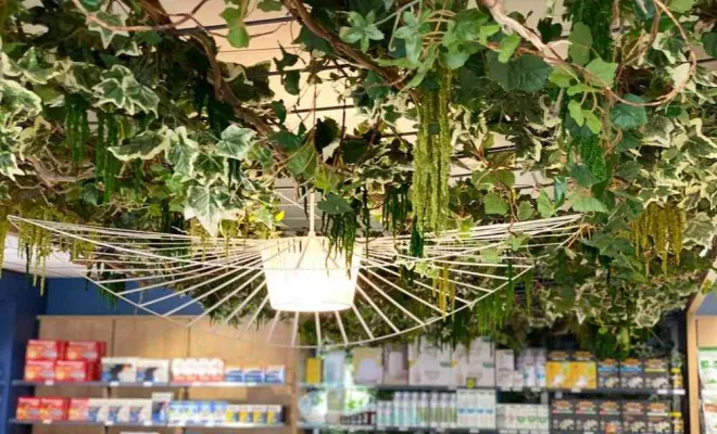 Plafond végétalisé, Lyon, MOSS SMART NATURE