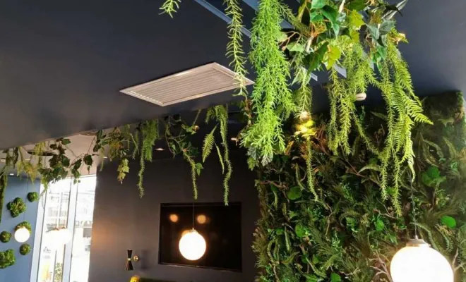 Plafond végétalisé, Lyon, MOSS SMART NATURE