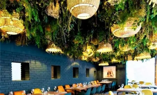 Plafond végétalisé, Lyon, MOSS SMART NATURE