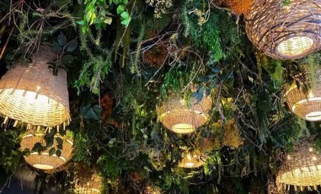 Plafond végétalisé, Lyon, MOSS SMART NATURE