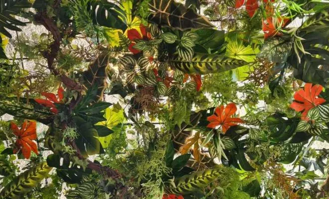 Plafond végétalisé, Lyon, MOSS SMART NATURE