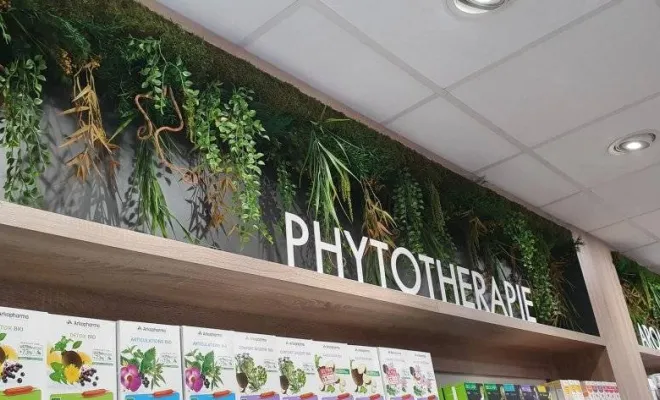 Plafond végétalisé, Lyon, MOSS SMART NATURE