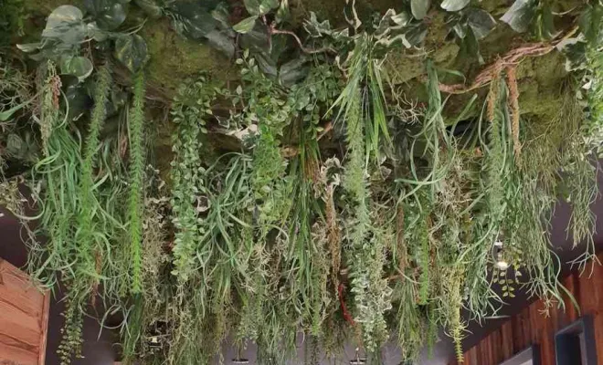 Plafond végétalisé, Lyon, MOSS SMART NATURE