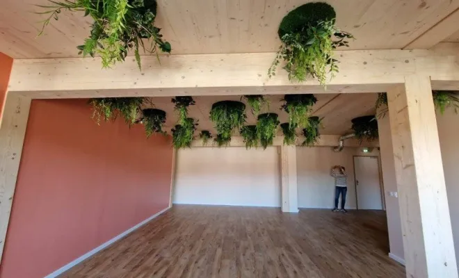 Plafond végétalisé, Lyon, MOSS SMART NATURE