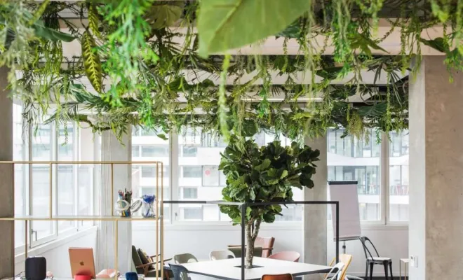 Plafond végétalisé, Lyon, MOSS SMART NATURE