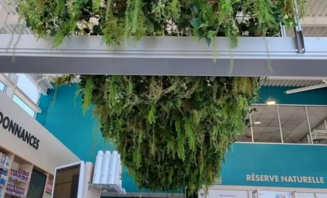 Plafond végétalisé, Lyon, MOSS SMART NATURE