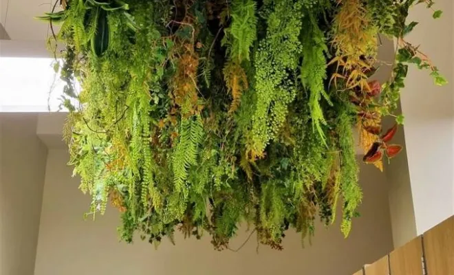 Plafond végétalisé, Lyon, MOSS SMART NATURE