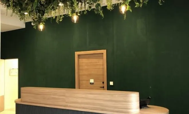 Plafond végétalisé, Lyon, MOSS SMART NATURE