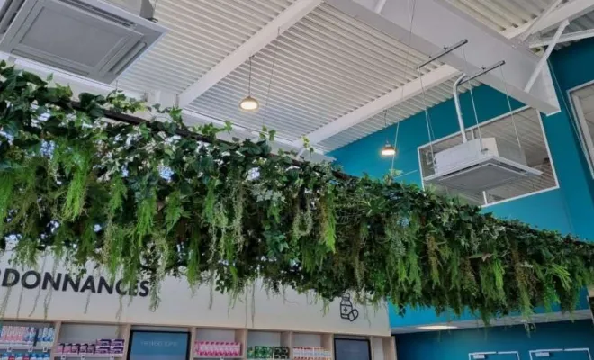 Plafond végétalisé, Lyon, MOSS SMART NATURE