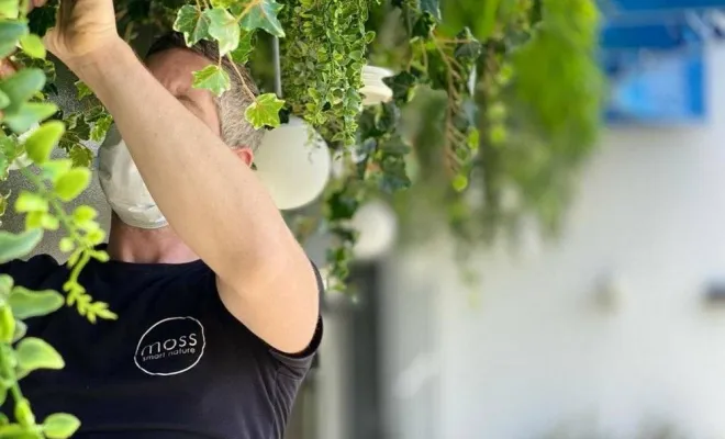 Plafond végétalisé, Lyon, MOSS SMART NATURE