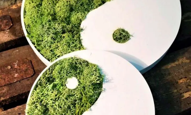 Signalétique et pictogramme, Lyon, MOSS SMART NATURE